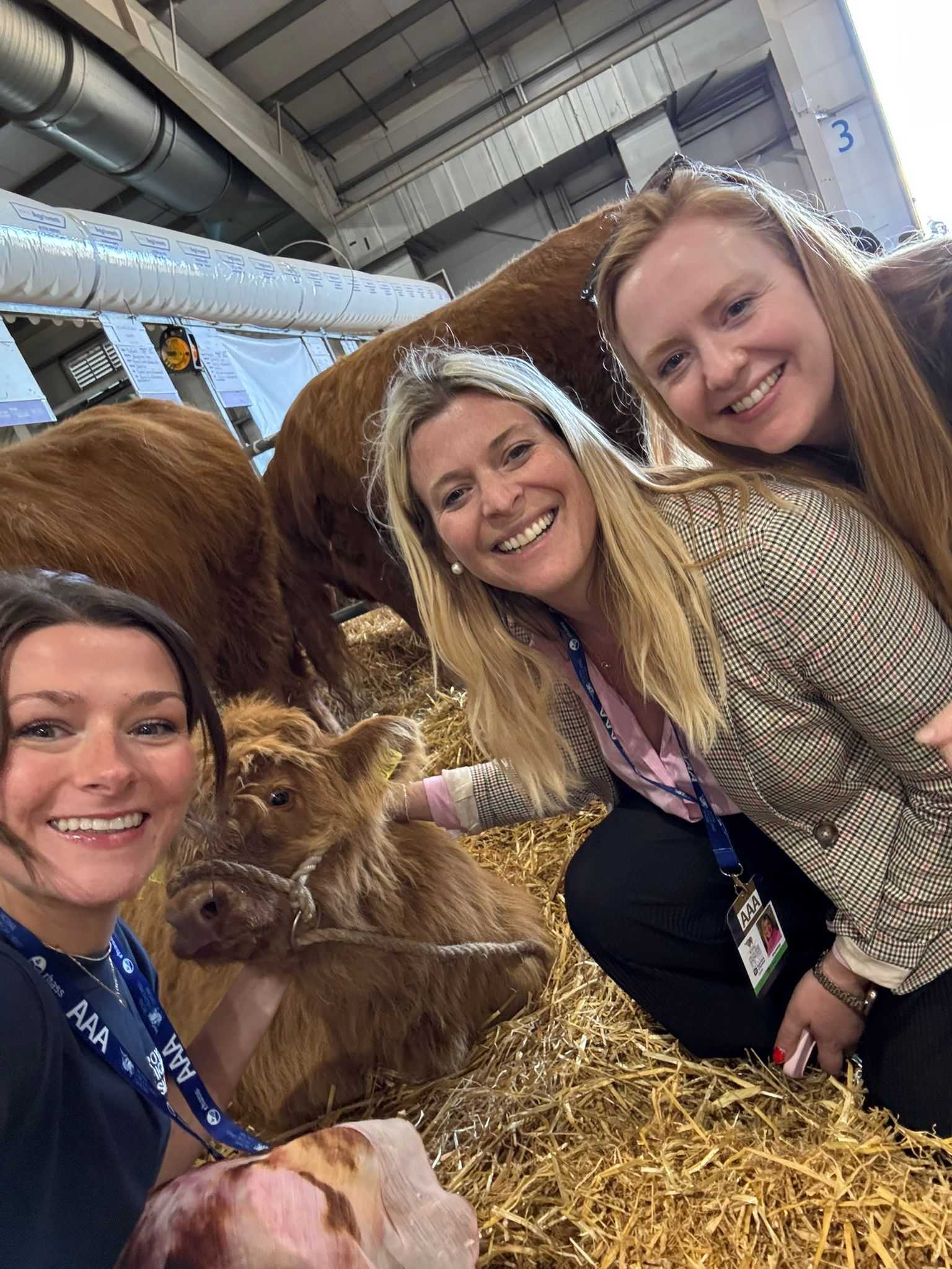 Running the Royal Highland Show press office is an udderly brilliant job